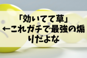 「効いてて草」←これガチで最強の煽りだよな
