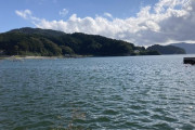 東北で海釣り～月曜日のたわわ～