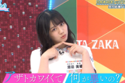 【日向坂46】『あざとくて何が悪いの？』プロデューサー、ひなあいをオーディションとして注視していたｗｗｗｗｗｗｗｗｗ