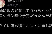 【悲報】ホロライブ内でいざこざ発生…ぺこら「つまんねぇことすんなよ」→夏色まつりが謝罪へ