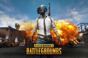 PUBGとかのバトロワが流行る理由が分からん