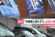 【悲報】次はワカメ産地偽装発覚ｗｗｗｗｗｗｗｗｗｗｗｗｗｗｗｗｗｗｗｗｗｗ