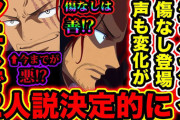 シャンクス「泣きました。俺は天竜人でロックスの息子でトキトキの実の能力者で
