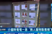 【衝撃】世界よ、これが中国だ「ネコを自動販売機で販売」ネット民虐待だとブチギレ