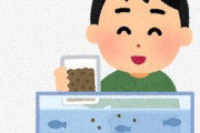 【急募】金魚水槽の底に貯まったフンや餌を上手く取る方法求む…ｗｗｗｗｗｗｗｗｗｗｗｗｗｗ
