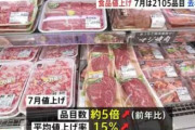 【悲報】7月の食品値上げ、前年同月の5倍に・・・もうマジで終わりだよこの国