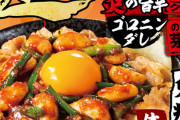【画像】俺たちの「伝説のすた丼屋」がまたやってくれた　クソ旨そうな新メニューを発売