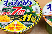 わかめラーメン(具はわかめと胡麻しか入ってません)←こいつが天下取れた理由