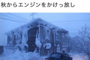 【画像】ロシアの寒い日にエンジンかからない対策が想像以上にヤバいｗｗｗｗｗｗｗｗ