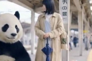 中国人「電車でこれを触れない日本人がいるらしい」　中国人「触らずにどうやって乗るのだろう」「私はグニャグニャ」