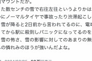 都民「雪国マウントうざい！雪知ってるぐらいでイキるな！」雪国民「はぁ…ｗ」