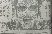 【緊急】ONE PIECE黄猿、海軍脱退WWWWWWWWWWWWWWWWWWWWWW