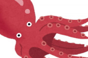 [韓国の反応]日本で9本足のタコが発見されて話題に[韓国ネット民]これを特産品として売り出すんじゃないだろうか？