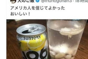 【oh no】アメリカ人「コーラにピーナッツ入れると美味しい」→ 日本人「アメリカ人を信じてよかった　美味しい！」