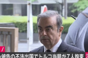 【悲報】 ゴーン問題、トルコでパイロット含むゴーン関係者7人を拘束