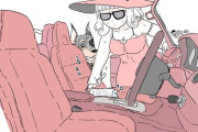 【FGO】自分の車にコロコロをかけるカーミラさんｗｗｗ　犬飼ってる人あるあるやな