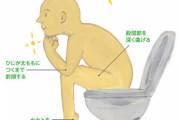 正しい排便姿勢ｗｗｗｗｗ