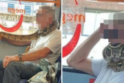 生きたマスク？巨大ヘビをマスクの代わり顔に巻いたバスの乗客が目撃される（イギリス）