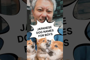 外国人「言い方がｗ」「かわいい」日本風の犬の名前を伝授！ショート動画に関心