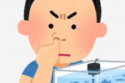【画像】ミナミヌマエビの水槽に鼻くそ投入したらめっちゃ取り合いになってワロタ