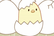 【スゴイ！】70歳のアホウドリが産卵ｗｗｗｗｗ