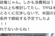 自民党「赤ちゃんのオムツ？生活必需品じゃないから消費税10%ねw」