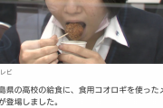 【速報】日本の給食、ついに子供達にコオロギを食わせてしまう…