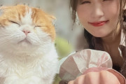 【櫻坂46】飼い主が猫に似てきている