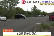 【警告】クルマ、やはり欠陥乗り物だった・・・「自分の運転する車に轢かれて死ぬ」