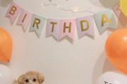 【SKE48】杉山歩南「愛犬しゅぷさんの1歳のお誕生日」
