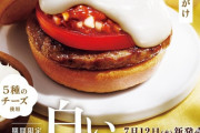 【画像】モスバーガーの新作バーガー、とんでもないことになる