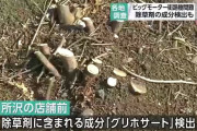 【速報】ビッグモーター店舗前の植え込みから10倍の除草剤検出　これ水やり感覚で与えてたろ