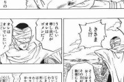 ネイル「私と同化しろ、お前の力が数倍になる」ピッコロ「断る」