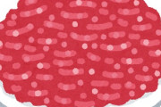 【画像】人工肉、ガチで旨そう??