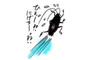 【閲覧注意】このアパート、ゴキブリが無限に湧いてくるんだが・・・・