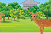 奈良公園で、観光客が糞で汚した餌を鹿に与えてるぞ！　【海外の反応】