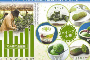 「飲む」から「食べる」ものになった抹茶、スイーツ人気で世界的ブーム…転売目的の買い占め横行も