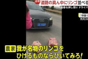 【中国】リンゴ農家さん、リンゴの押し売りをするためにリンゴで道路を封鎖してしまう