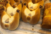 【?】パン屋「コーギーのお尻パン売ってますー！」ワイ「何やその可愛い感じのパンは」