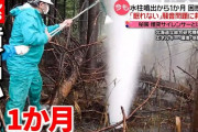 【ヤバい】北海道の水柱、1ヶ月たっても出っぱなし・・・【動画あり】
