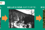 森林破壊してまでメガソーラー　霧ヶ峰の190haのメガソーラーを阻止した長野県