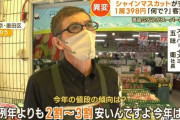 【食べて応援】シャインマスカット異例の安さ　が話題に　中国への輸出減少や暑さで生産量増加