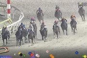 【帝王賞】戸崎騎手って大井だと不思議なくらい巧いわよね　他