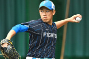 井端ジャパン初陣に日本ハム・根本の選出濃厚　オーバーエージ枠にヤクルト・田口、西武・今井、広島・坂倉が内定