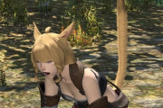 【FF14】初手喧嘩腰でコメントするやつが怖すぎるんだが