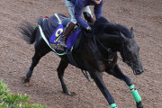 【鮫島は降ろされる】菊花賞3着ジャスティンパレス　マーカンドで有馬記念へ