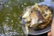 【動画】アフリカのおばちゃんが作る料理、めっちゃうまそうｗｗｗｗｗ
