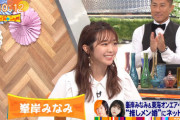 【朗報】峯岸みなみ「あやなんとは和解した。」