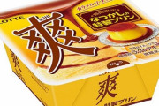 【食べたい】『爽 なつかしの特製プリン』が販売開始！純喫茶の昔ながらのレトロなプリンをイメージ