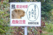 【61枚】ネットで拾った変な画像ｗｗｗｗｗｗｗ